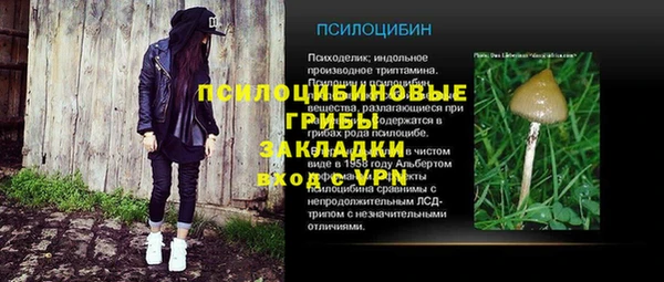 метадон Армянск