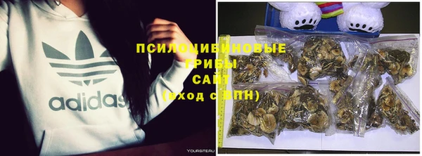 соль ск Алексин