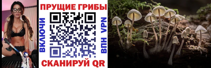 Псилоцибиновые грибы Magic Shrooms  магазин  наркотиков  Нея 